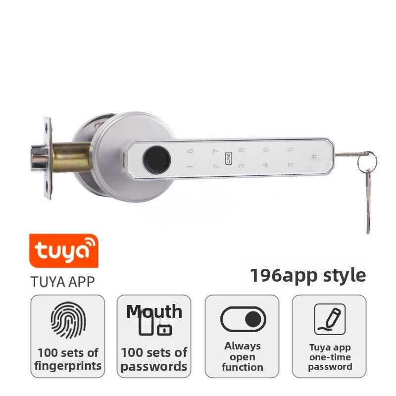 Electronic Door Lock